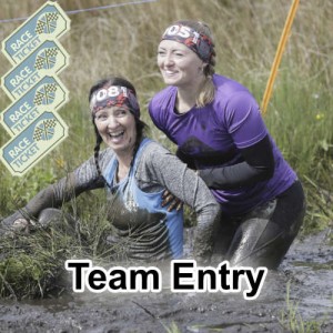 TeamEntry